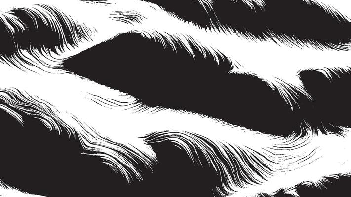 Black and White Background Texture, Detailed Overlay Illustration