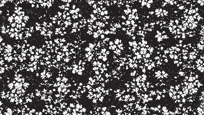 Highly Detailed Black Grunge Texture on White Canvas for Enhanced Backgrounds and Texture Overlays