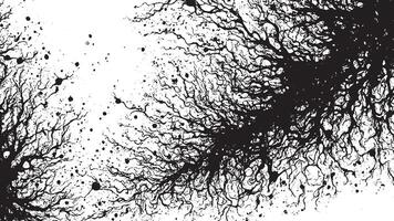 Highly Detailed Black Grunge Texture on White Canvas for Enhanced Backgrounds and Texture Overlays vector