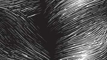 Monochrome Black Brush Stroke Patterns for Artistic Background Textures vector