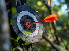 An arrow in the center of a round target photo