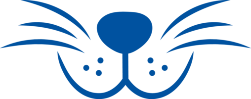 Fragment of muzzle of cat or dog with dots near nose and short antennae. Hand drawn. png