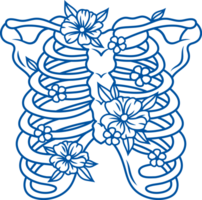Fragment of skeleton of deceased person with bones of ribs and spine for anatomical illustration png