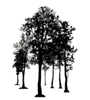 Realistic tree silhouette isolated on transparent background with clipping path and alpha channel png