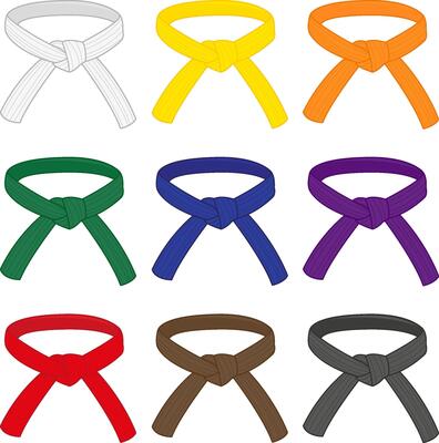 Kickboxing belt rank on sale