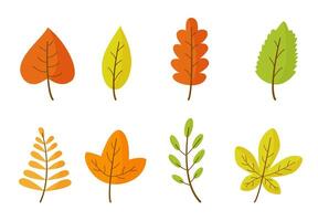 Set of cartoon autumn leaves on white isolated background. vector