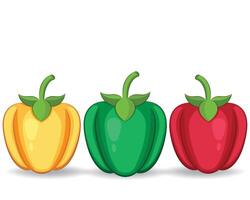 Capsicum Colorful, Nutrient-Rich Vegetable for Flavorful Dishes vector