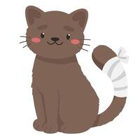 Cute cat with tail injury, veterinary treatment, injured animal, pet bandaging. vector