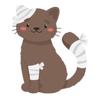 Cute cat with injury to tail, paw and ear, veterinary treatment, injured animal, bandaging pet. vector