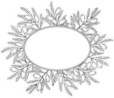 Graphics botanical black and white frame with olive branches vector