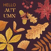 Colorful autumn leaves and berries illustration on dark background with Hello Autumn text. Perfect for seasonal designs, greeting cards, and digital projects. Warm, inviting fall theme. vector