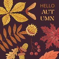 Vibrant autumn leaves and berries illustration on dark background with Hello Autumn text. Ideal for seasonal designs, greeting cards, and digital projects. Warm, inviting fall theme. vector