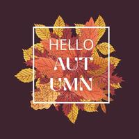 Hello Autumn illustration with vibrant leaves on dark background. Perfect for seasonal designs, greeting cards, and digital projects. Warm, inviting fall theme with colorful leaf cluster vector