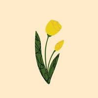 Abstract tulip flower Illustration in a Simple and Modern Style isolated vector