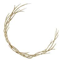 Botanical Wreath with twigs and branches watercolor illustration. Frame with twisted plants for autumn Invitations and greeting cards on isolated background. Circular border for fall postcards design vector