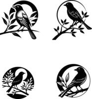 A Bird Is Sitting A Tree Branch Silhouette vector
