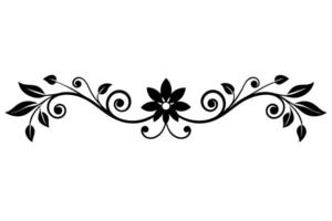 Elegant decorative line divider silhouette illustration, perfect for adding stylish borders and accents to your graphic design projects. Ideal for classic and modern designs vector
