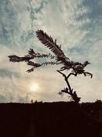 Clouds, sky and nature photo