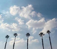 Clouds, sky and nature photo