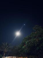 Life at night photo