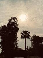 Clouds, sky and nature photo