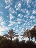 Clouds, sky and nature photo