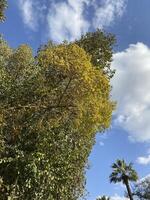 Clouds, sky and nature photo