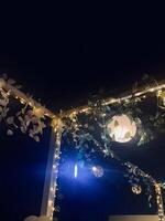 Life at night photo