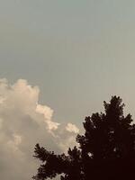 Clouds, sky and nature photo