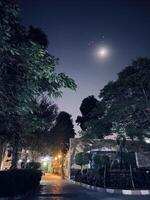 Life at night photo