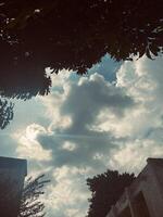 Clouds, sky and nature photo