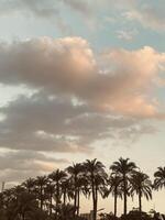 Clouds, sky and nature photo