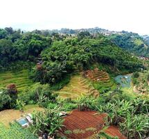 view of the fields from the top of the hill photo