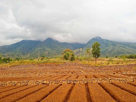 view of dry fields with mountains in the background photo
