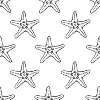 Underwater seamless pattern with starfish line art illustration in black color. Hand drawn sea star sketch, seashell drawing. Summer beach seaside print for background, textile, fabric, wrapping paper vector