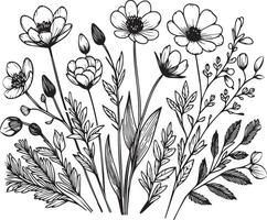Spring flower art, illustration of a font view Spring flower, in hand-drawn botanical spring elements natural collection line art for coloring page, Realistic flower coloring pages vector