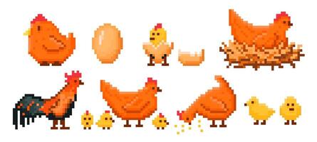 Farm chicken pixel art. Chick hatching from egg, hen on nest, rooster and baby chicks retro 8 bit game style illustration set vector