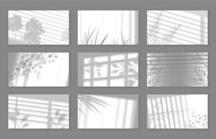 Realistic floral wall shadow. Botanical gobo overlays with foliage shadows cast through window blinds backgrounds set vector