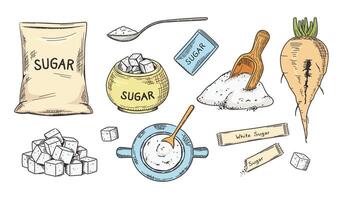 Hand drawn white sugar. Sketch sugar beet, granulated and cubes. Packaged in bag, sticks and bowl illustration set. vector