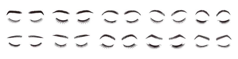 Eyebrows and eyelashes styles. Beauty eyebrow shapes and eyelash designs, natural eye makeup look. Realistic closed eyes with lashes and brow styling set. Fashion glamour salon elements vector