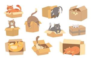 Cartoon cats in cardboard box. Felines play with boxes, adopt kittens and funny packed cats illustration set vector