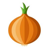 onion vegetable for cooking meals. A bright element isolated on white for design. vector