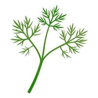 dill vegetable for cooking meals. A bright element isolated on white for design vector