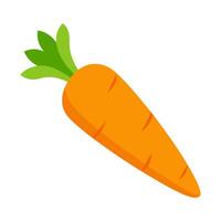 carrot vegetable for cooking meals. A bright element isolated on white for design vector