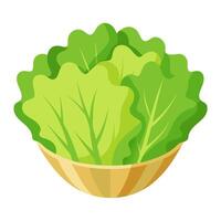 frisee salad vegetable for cooking meals. A bright element isolated on white for design vector