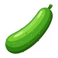 cucumber vegetable for cooking meals. A bright element isolated on white for design. vector