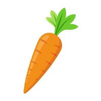 carrot vegetable for cooking meals. A bright element isolated on white for design vector