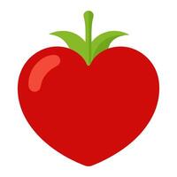 heart shaped tomato vegetable for cooking meals. A bright element isolated on white for design illustration vector