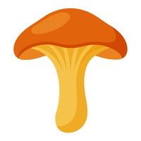 chanterelle mushroom vegetable for cooking meals. A bright element isolated on white for design. vector