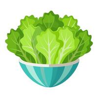 frisee salad vegetable for cooking meals. A bright element isolated on white for design vector